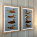 Vintage Duck Decoys Digital Art Set