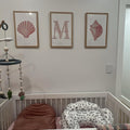 Pink Coastal Seashell Nursery Digital Art Trio Set
