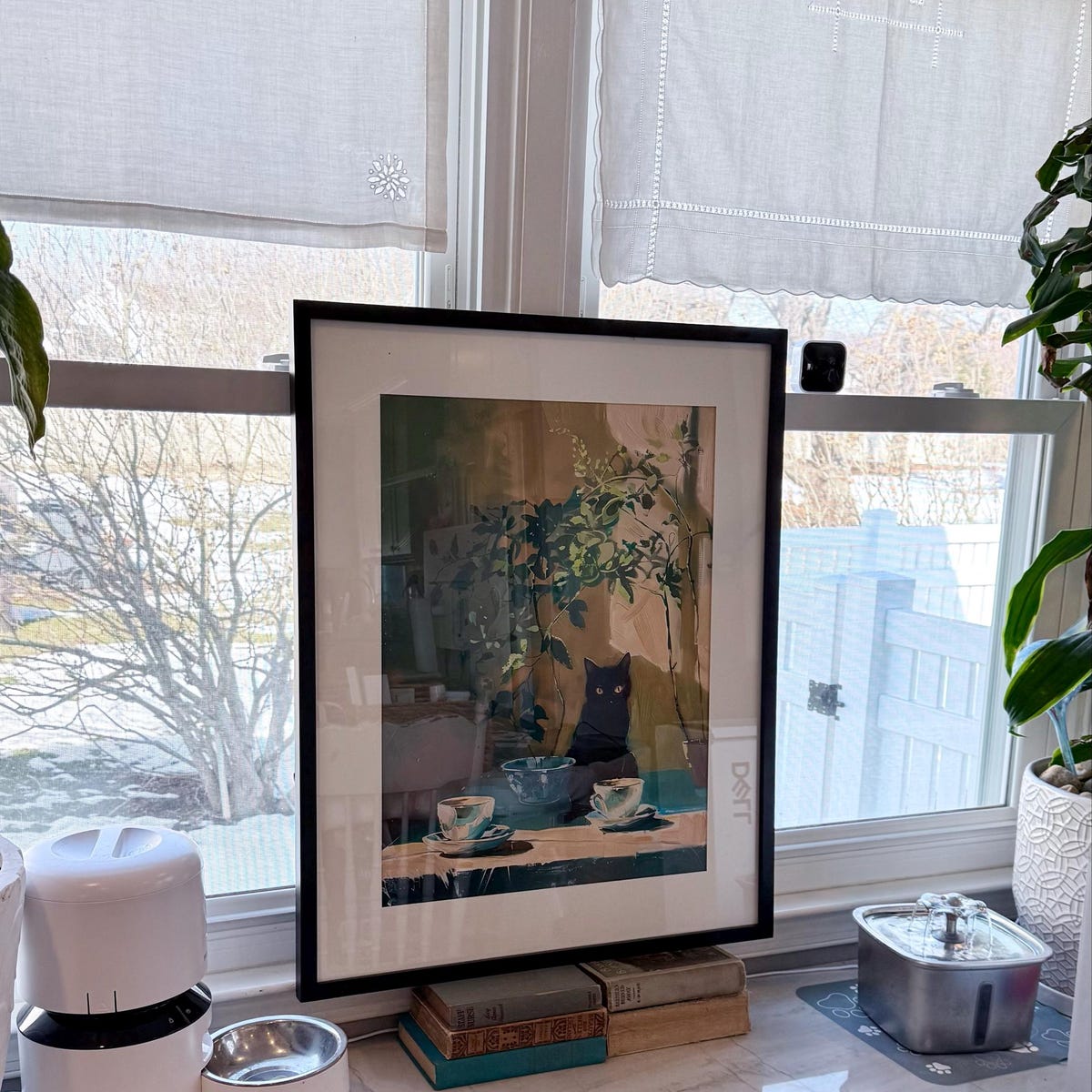 Cozy Black Cat Among Indoor Plants Digital Art