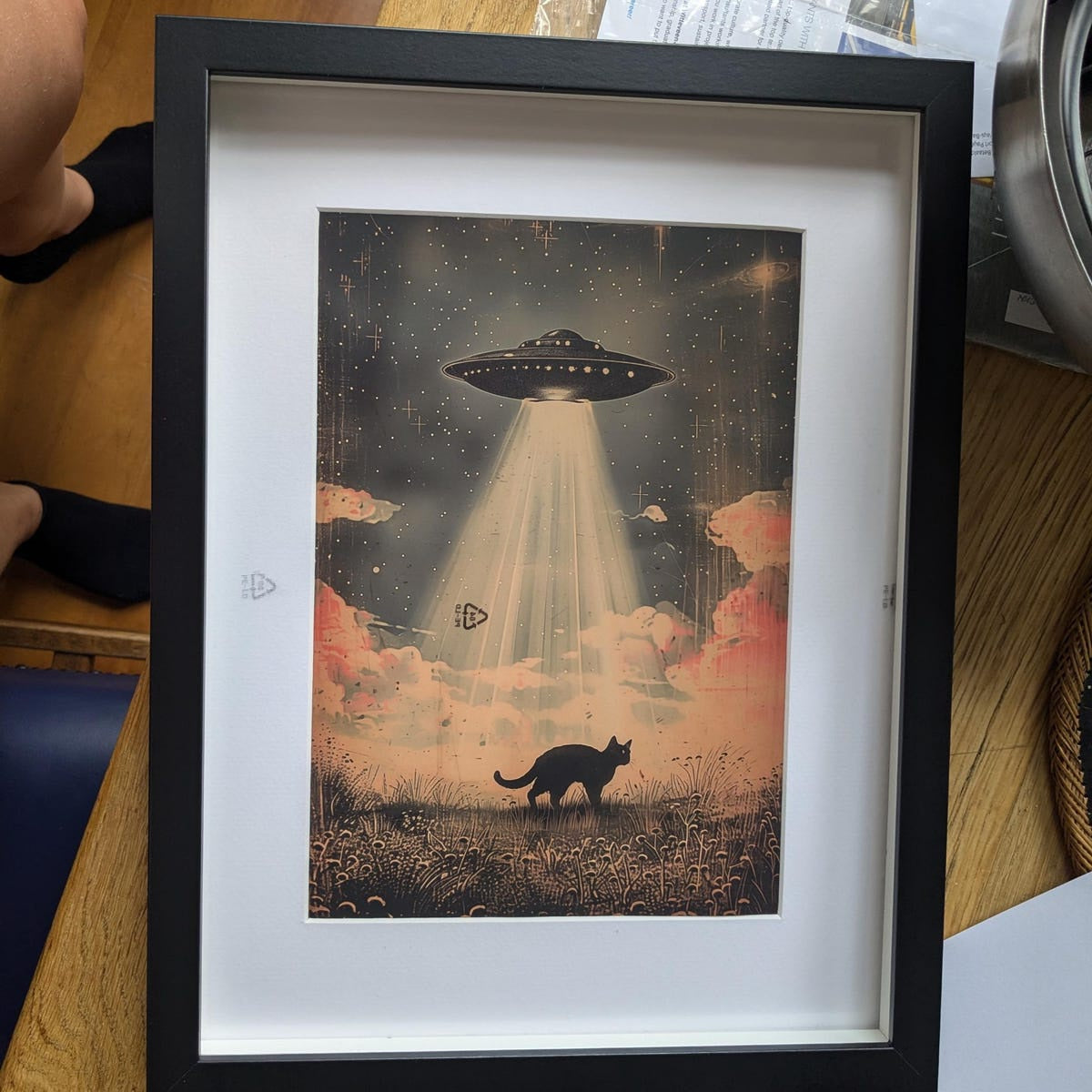 Cosmic Cat Abduction Digital Art