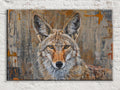 Wild Coyote Portrait Digital Art