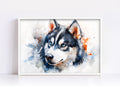 Watercolor Husky Digital Art