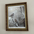 Winter Sparrows Digital Art